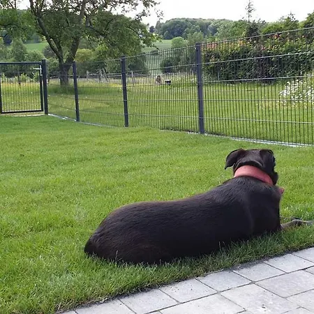 公寓 Eifel Dream Kalkmulde *