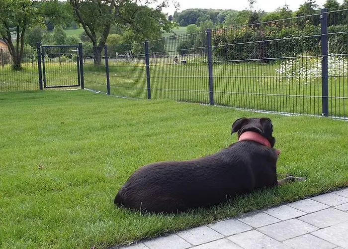 Apartament Eifel Dream Kalkmulde *